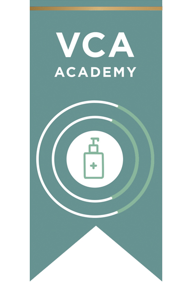 VCA Academy Gold Package