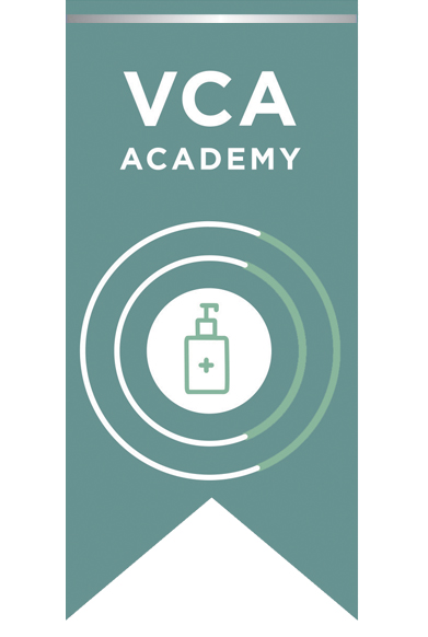 VCA Academy Silver Package