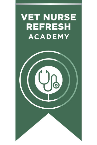 Vet Nurse Refresh Academy Silver Package