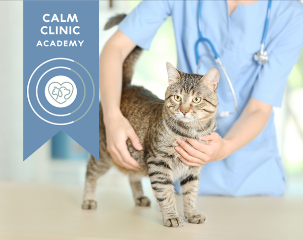 Calm Clinic Academy