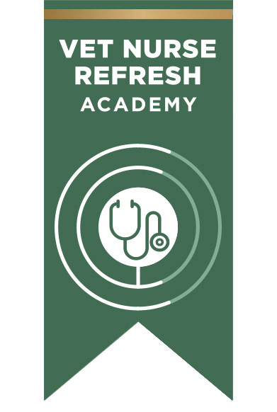 Vet Nurse Refresh Academy Gold Package