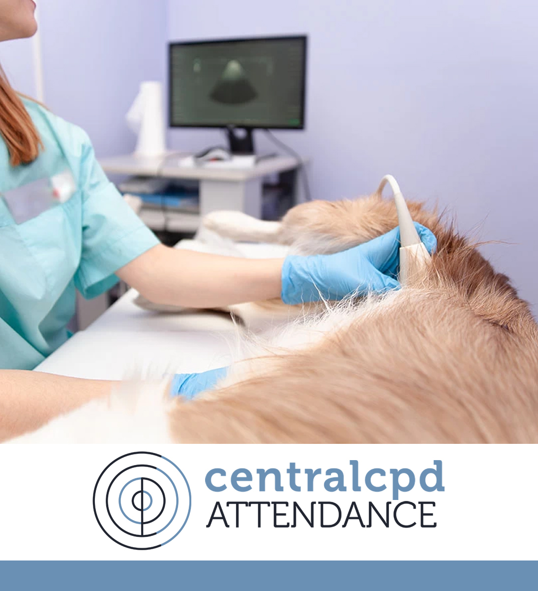 Veterinary Ultrasound Courses Central CPD