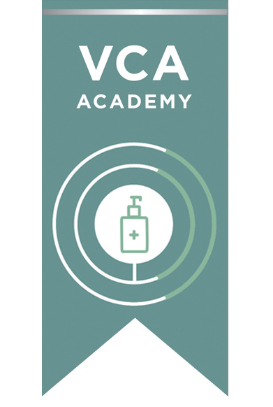 VCA-Academy-Silver-Package